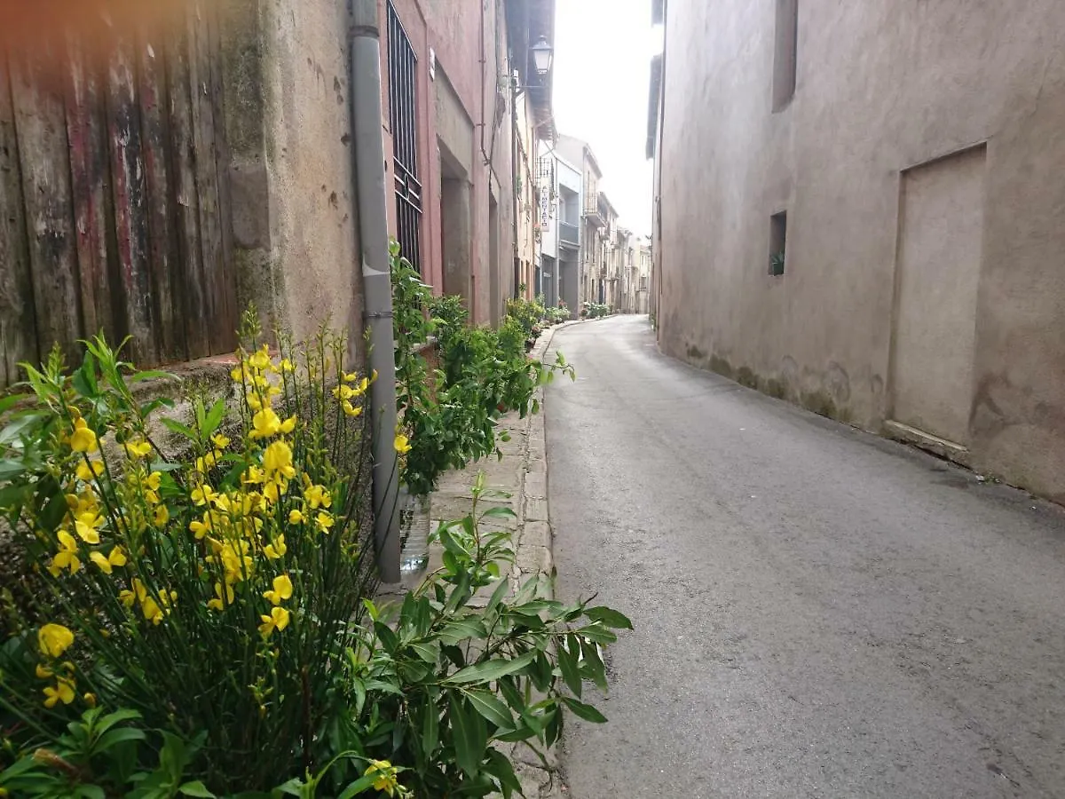 Cal Ton Apartment Castelltercol